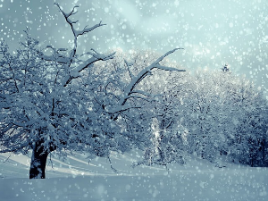 소한 대한 날짜 속담