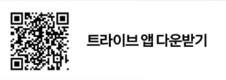 서울세계불꽃축제 골든티켓