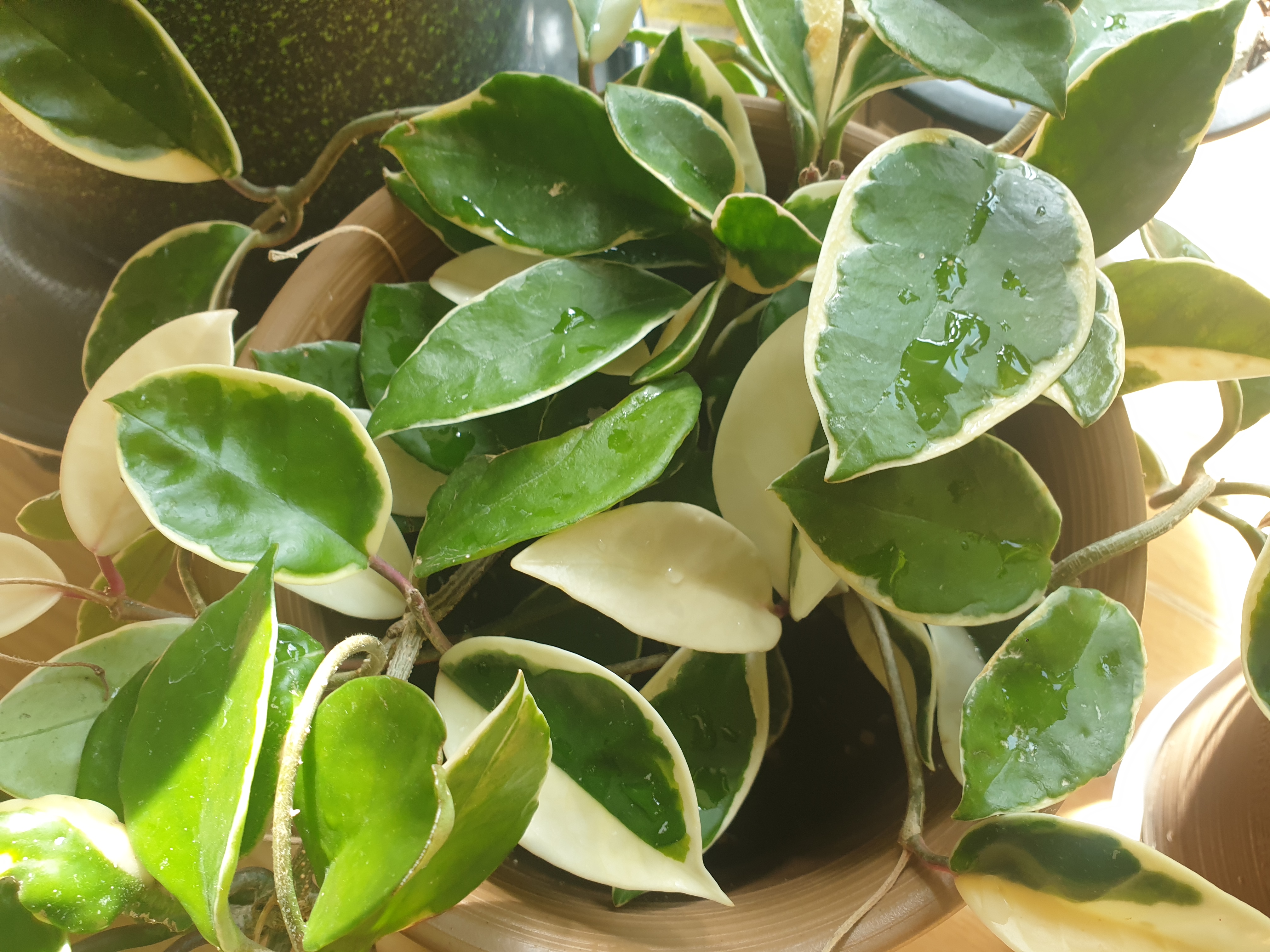 조상을 만나는 꿈-돌아가신 조상꿈-조상이 나오는 꿈- 죽은조상꿈- 조상이 웃는 꿈- 조상묘꿈-조상에게 절 하는 꿈-조상 산소 꿈-조상무덤 꿈-조상꿈해몽