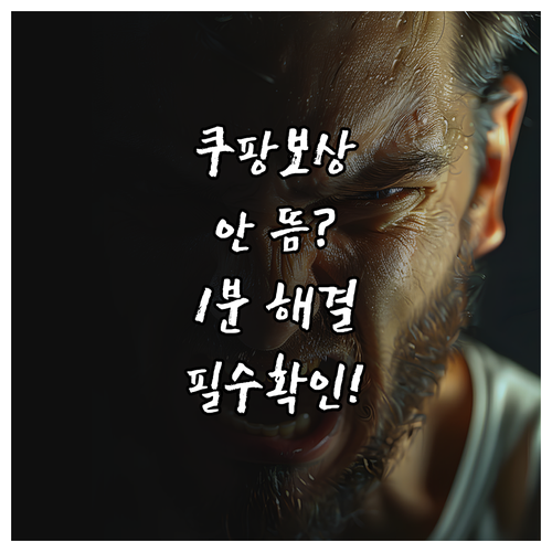 쿠팡 지연 보상 쿠폰 결제창 노출 안..