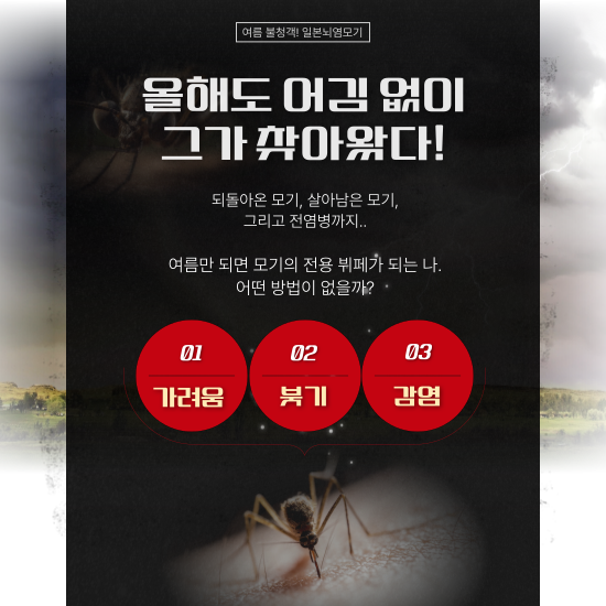 일본뇌염 예방법