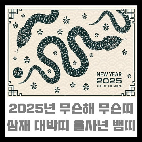 25년 삼재띠 03