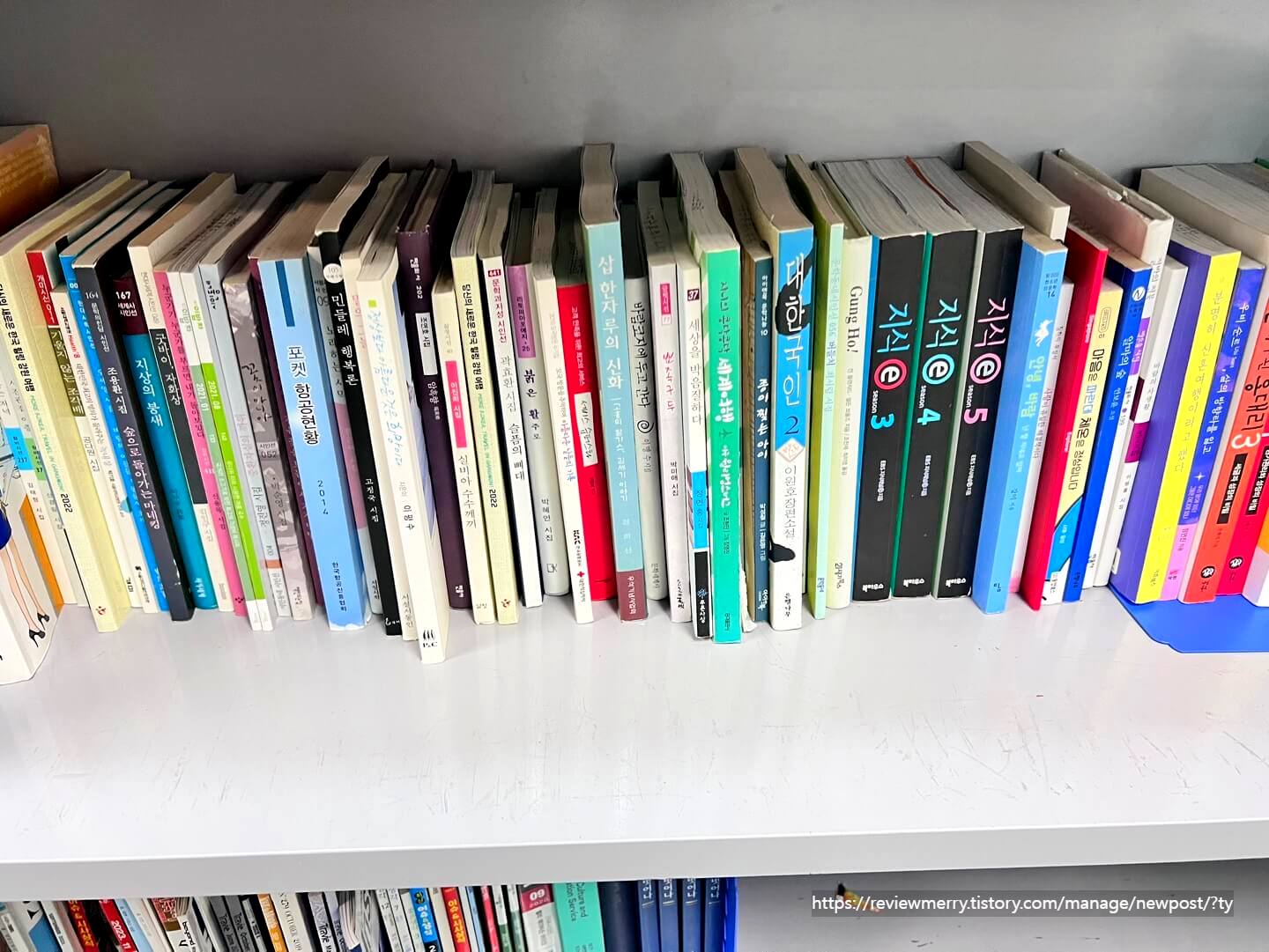 성인 도서관 책