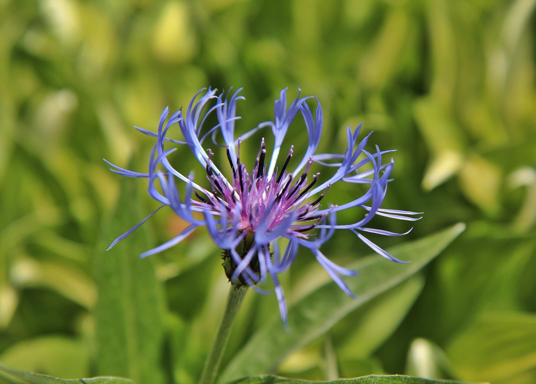 당뇨&middot;혈당 걱정된다면 필수&amp;#44; 관절까지 지키는 영양소 7가지