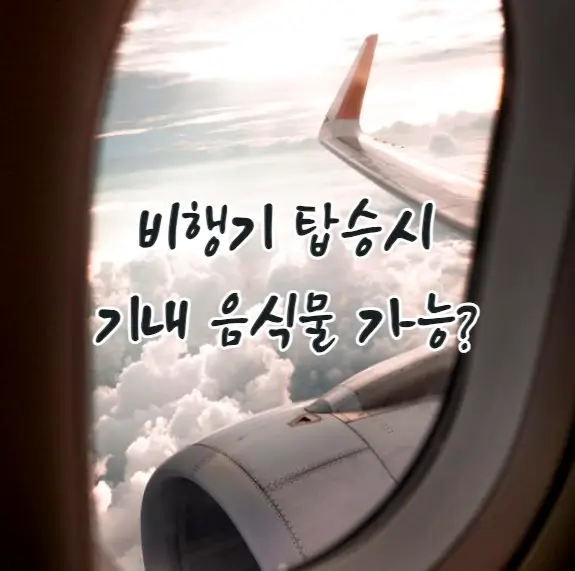 비행기 기내 음식물