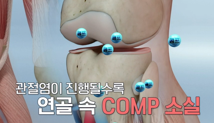 가자추출물 효능