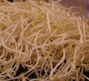 숙주나물의 효능 부작용 요리 고르는법