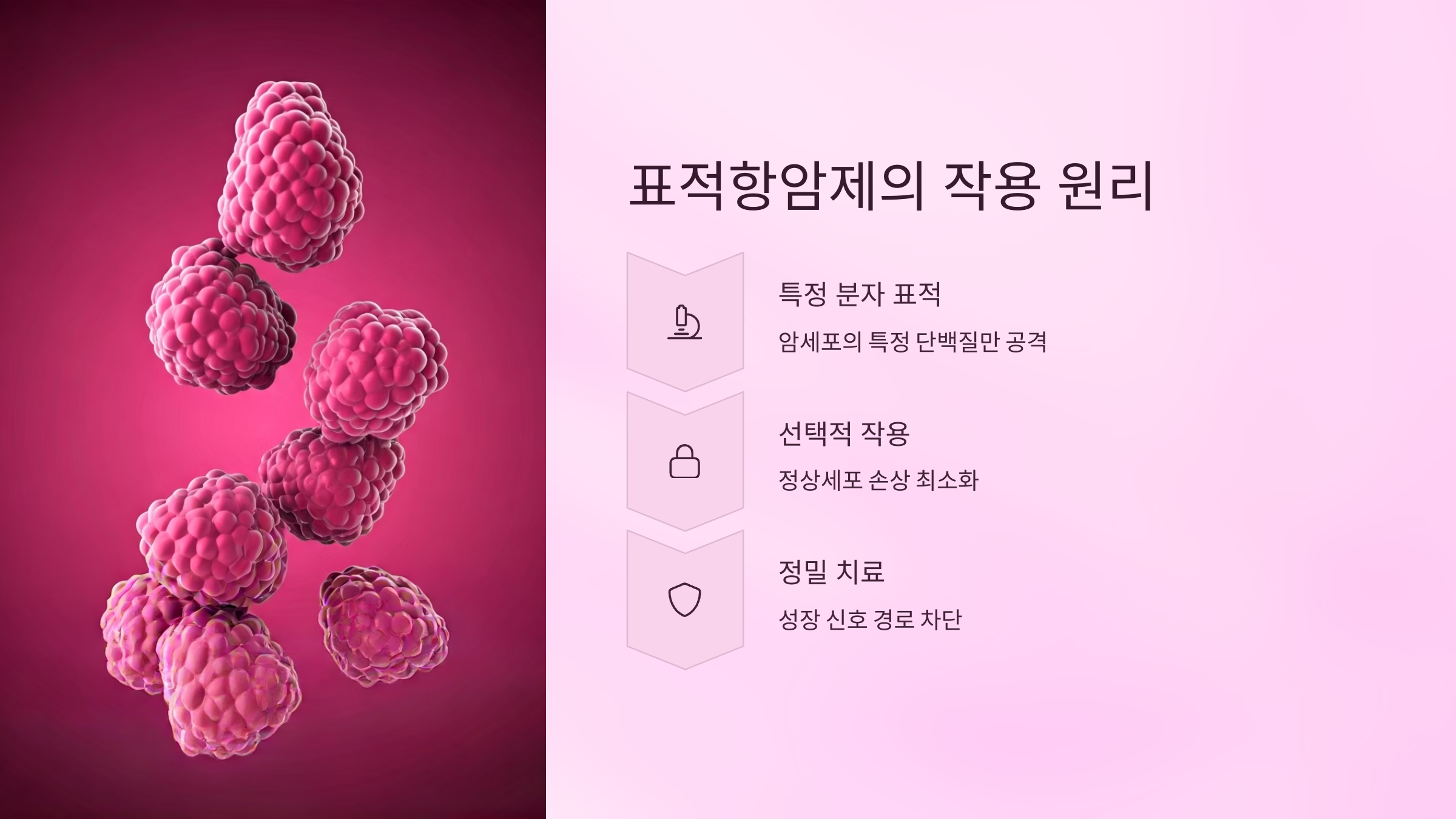 표적항암제 작용 원리