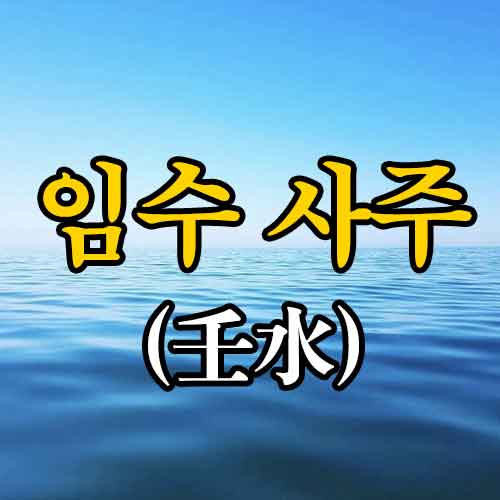 임수 일간 일주 사주