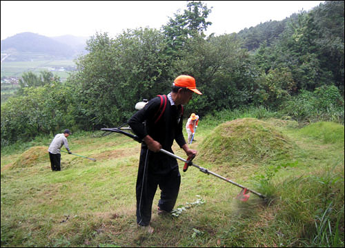 산불 내면 어떤 처벌 받을까? 형벌부터 손해배상까지 반드시 알아야 할 책임 정리