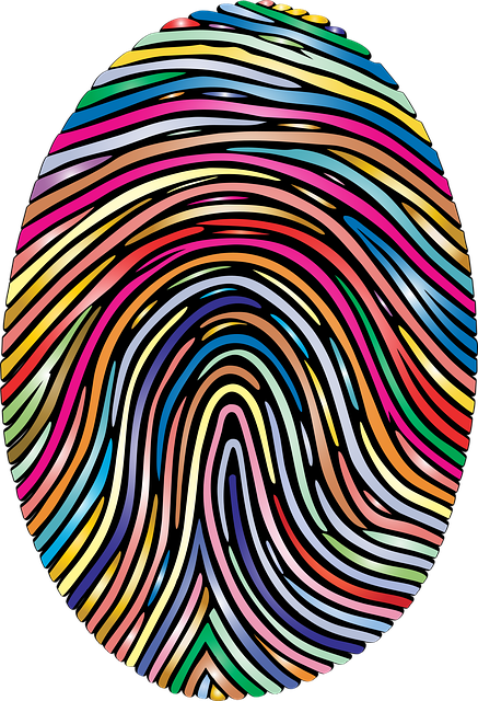 자유와 선택의 철학