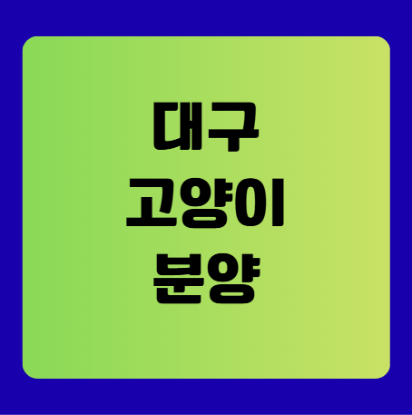 대구 고양이 분양(고양이 분양샵 및 유기묘 입양)