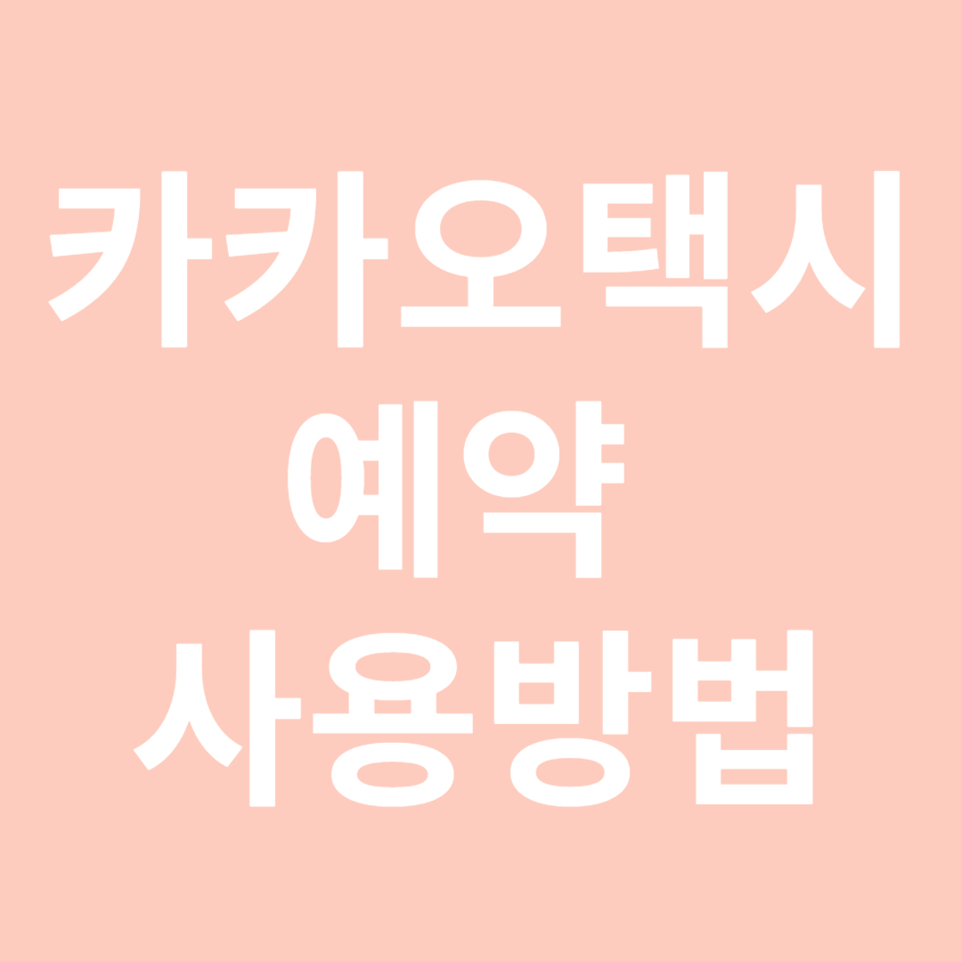 카카오택시 사용법 예약 방법