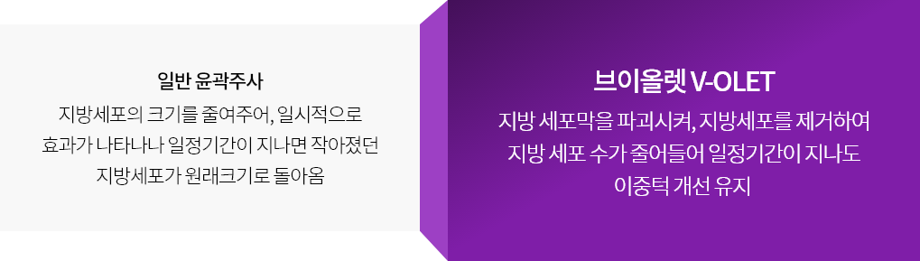 브이올렛