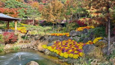 단풍명소_화담숲_하경정원