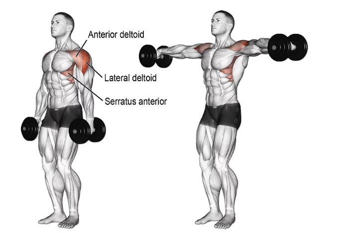 사이드레터럴레이즈