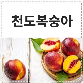 천도복숭아 효능 부작용 칼로리 섭취방법 완전 정리_19