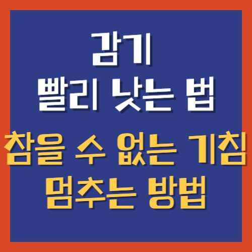 감기빨리낫는법