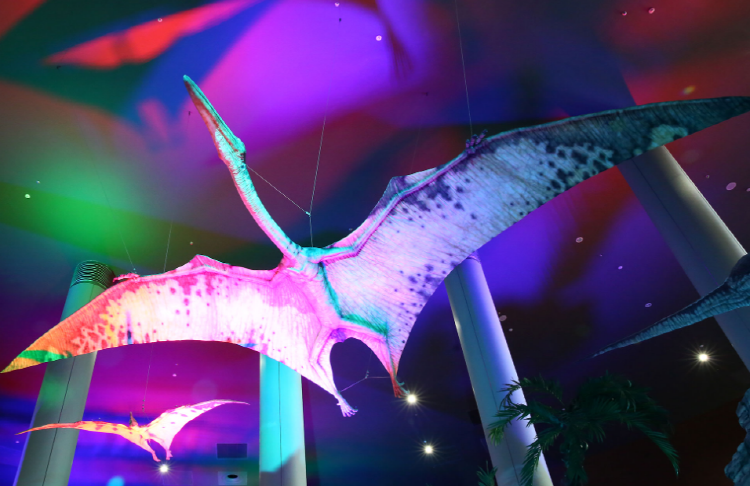 해남 공룡박물관