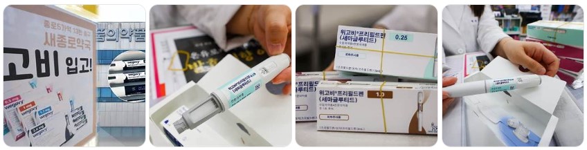 위고비 비만 치료제 이미지