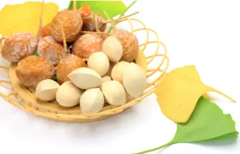 은행 열매 가격 및 효능, 영양성분과 부작용