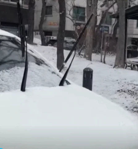 눈올때-와이퍼-올리는-이유