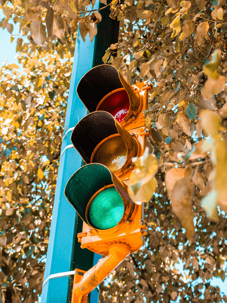 주정차 위반 조회