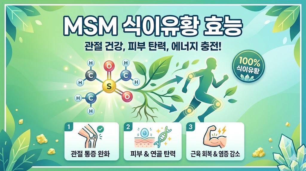 MSM 식이유황 효능