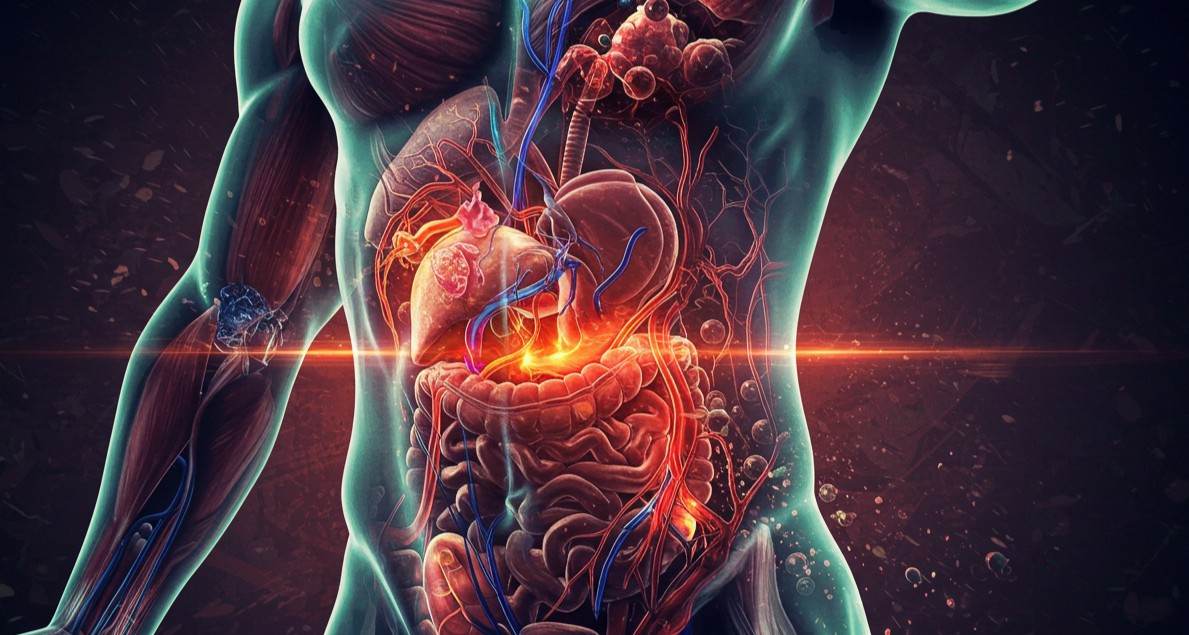heavy metal detox