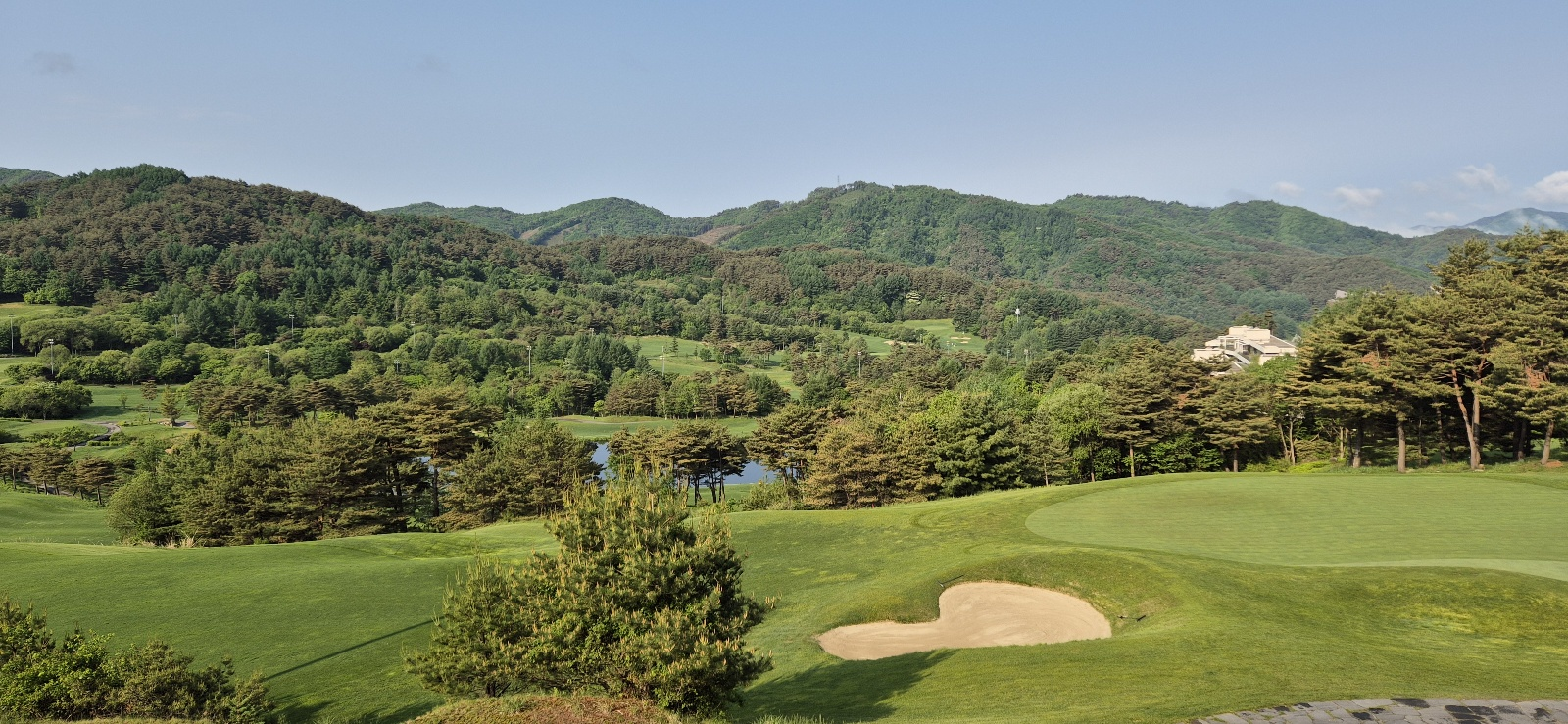 웰리힐리 페에웨이