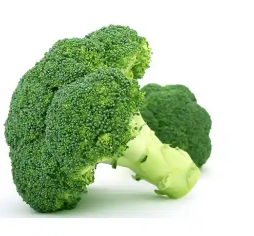 위암에 좋은 음식 피해야 할 나쁜 음식