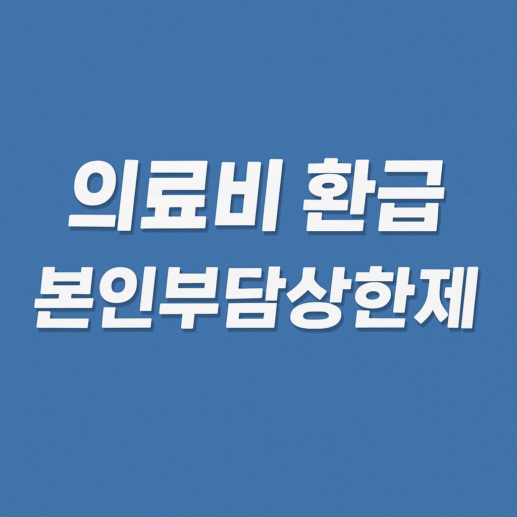 의료비 환급 본인부담상한제