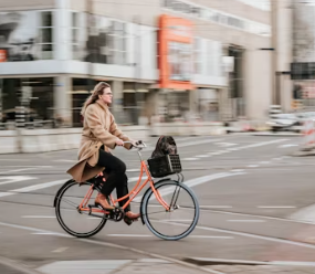고지혈증 증상 원인 예방법 음식