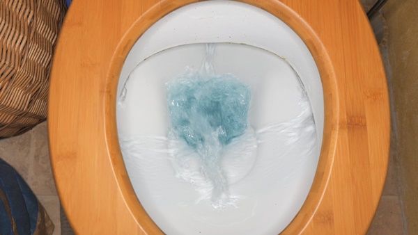 똥 꿈해몽 이미지 입니다.