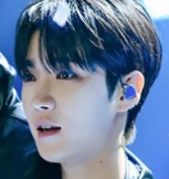 사계의봄