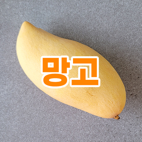 망고