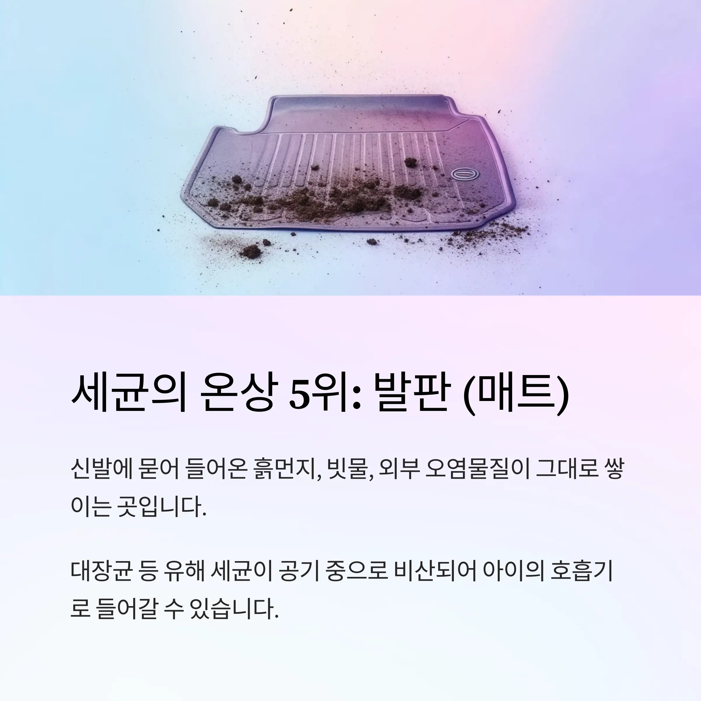 차내부청소관리 정보