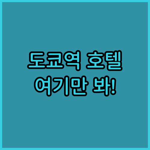 도쿄 자유여행 가기 좋은 도쿄역 근처..