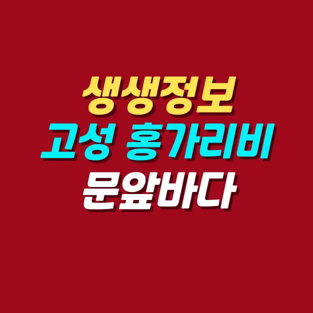 생생정보-고성-홍가리비-수확의-달인