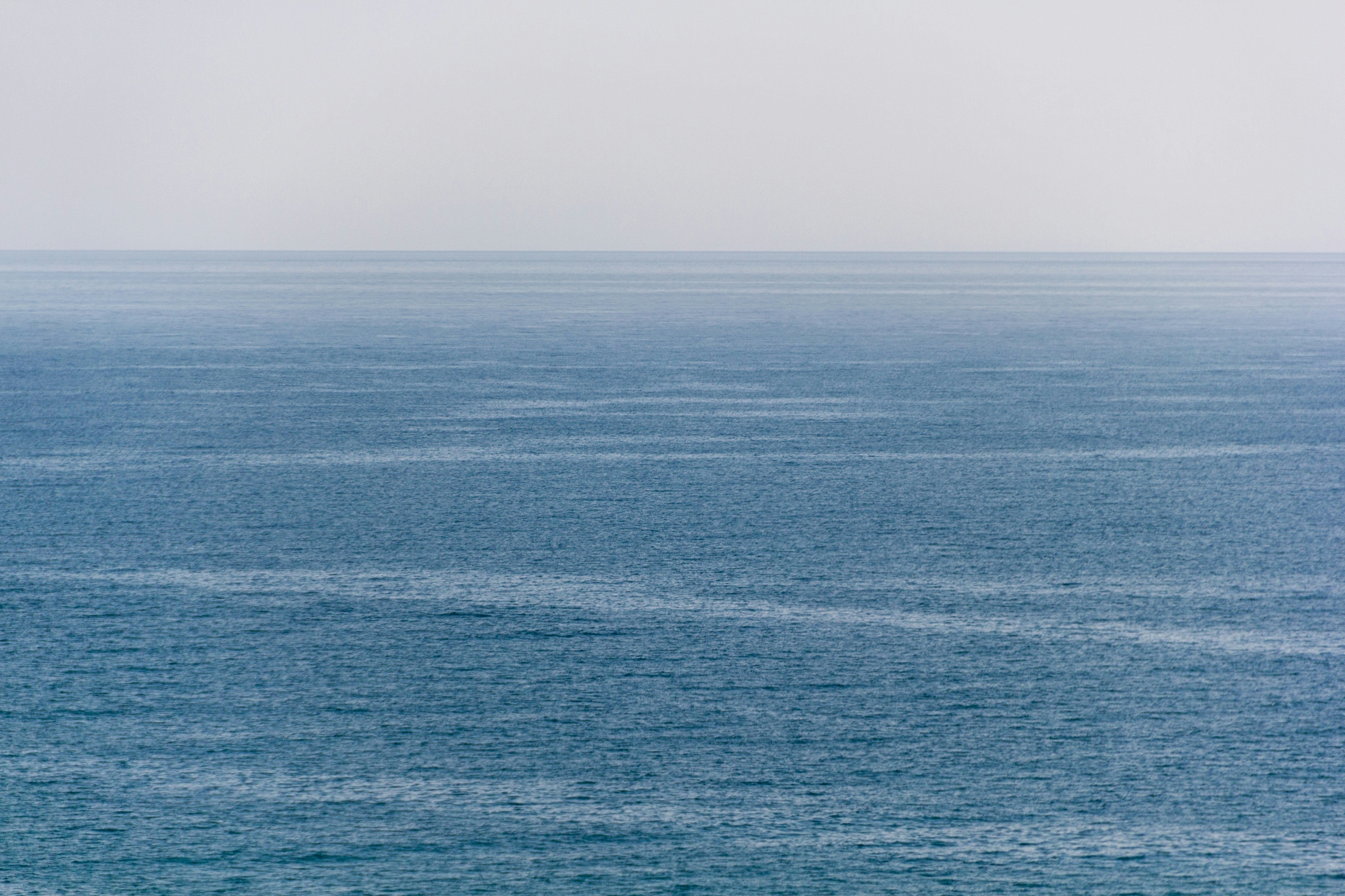 잔잔한 파도와 차가운 짙은 블루 톤의 겨울 바다 풍경 관련 사진