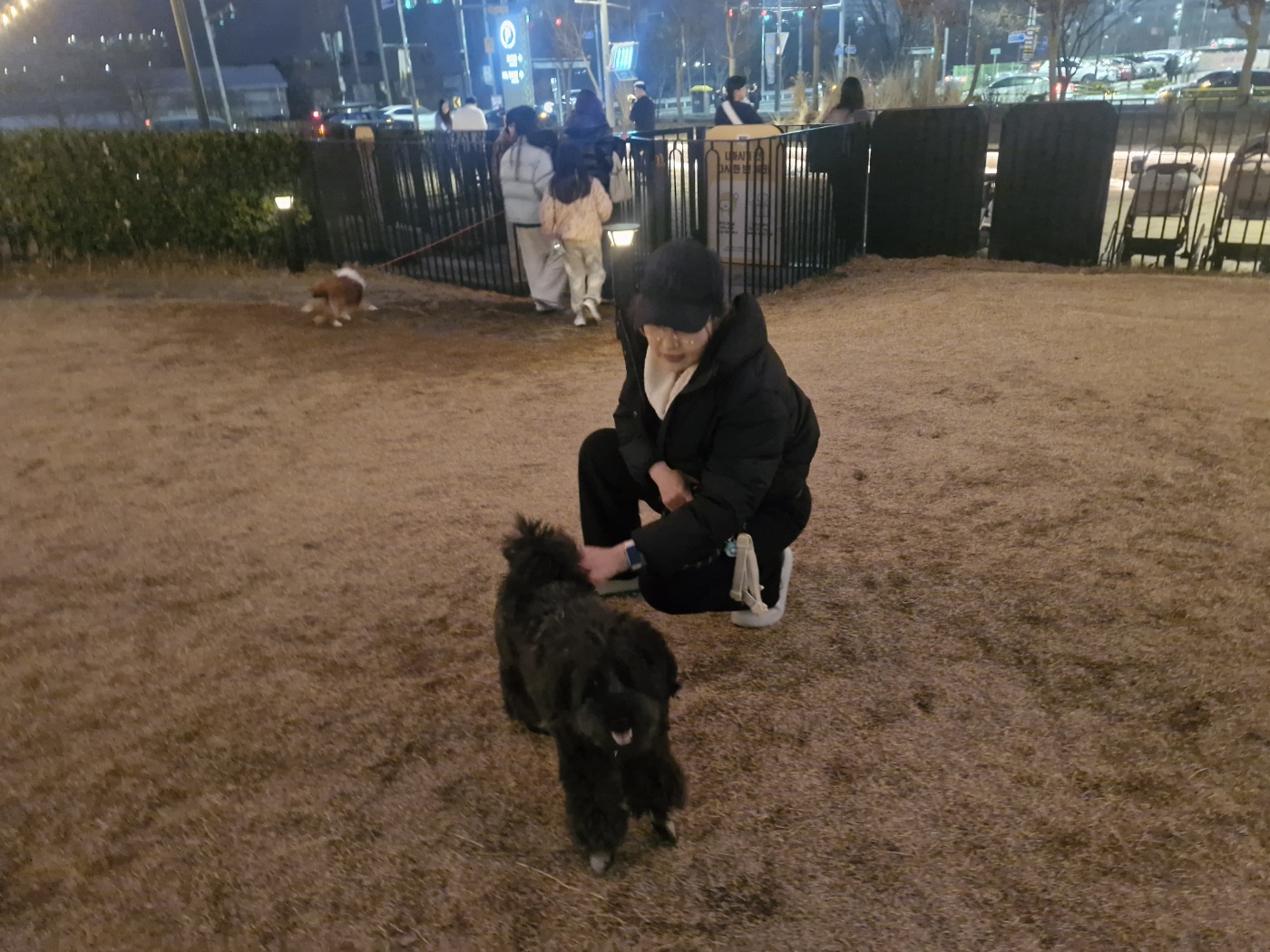 행복한 강아지 잠자는 위치별 심리 6가지