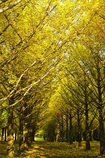자연습관 자연을 가까이 두자 감정 기복이 줄었다
