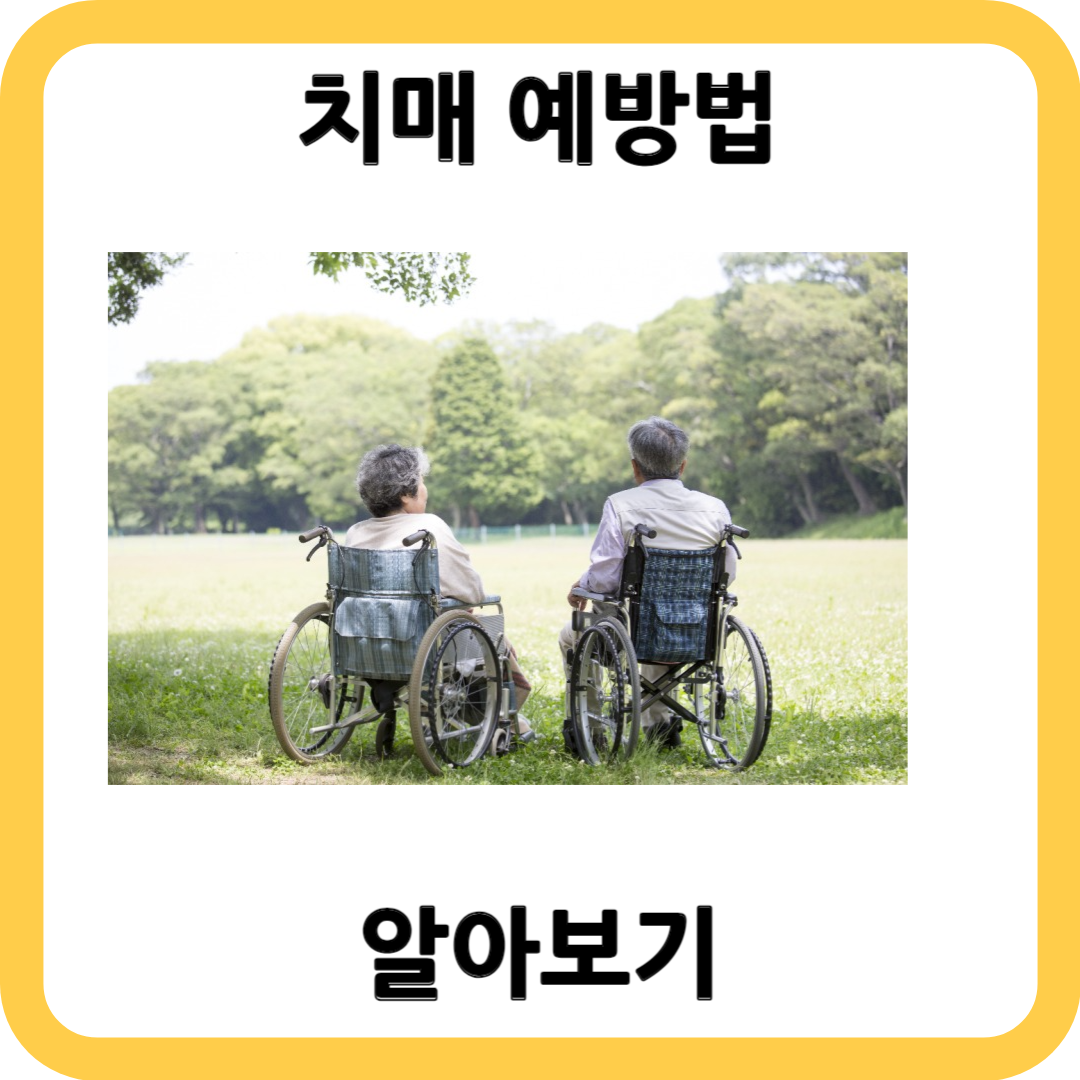 치매 예방법: 건강한 삶을 위한 필수 가이드 🧠💪