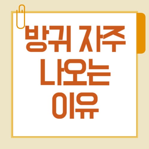 방귀 자주 나오는 이유? 냄새·원인·해결법까지 정리