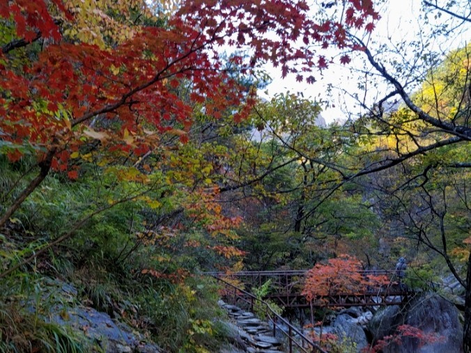 설악산 단풍시기