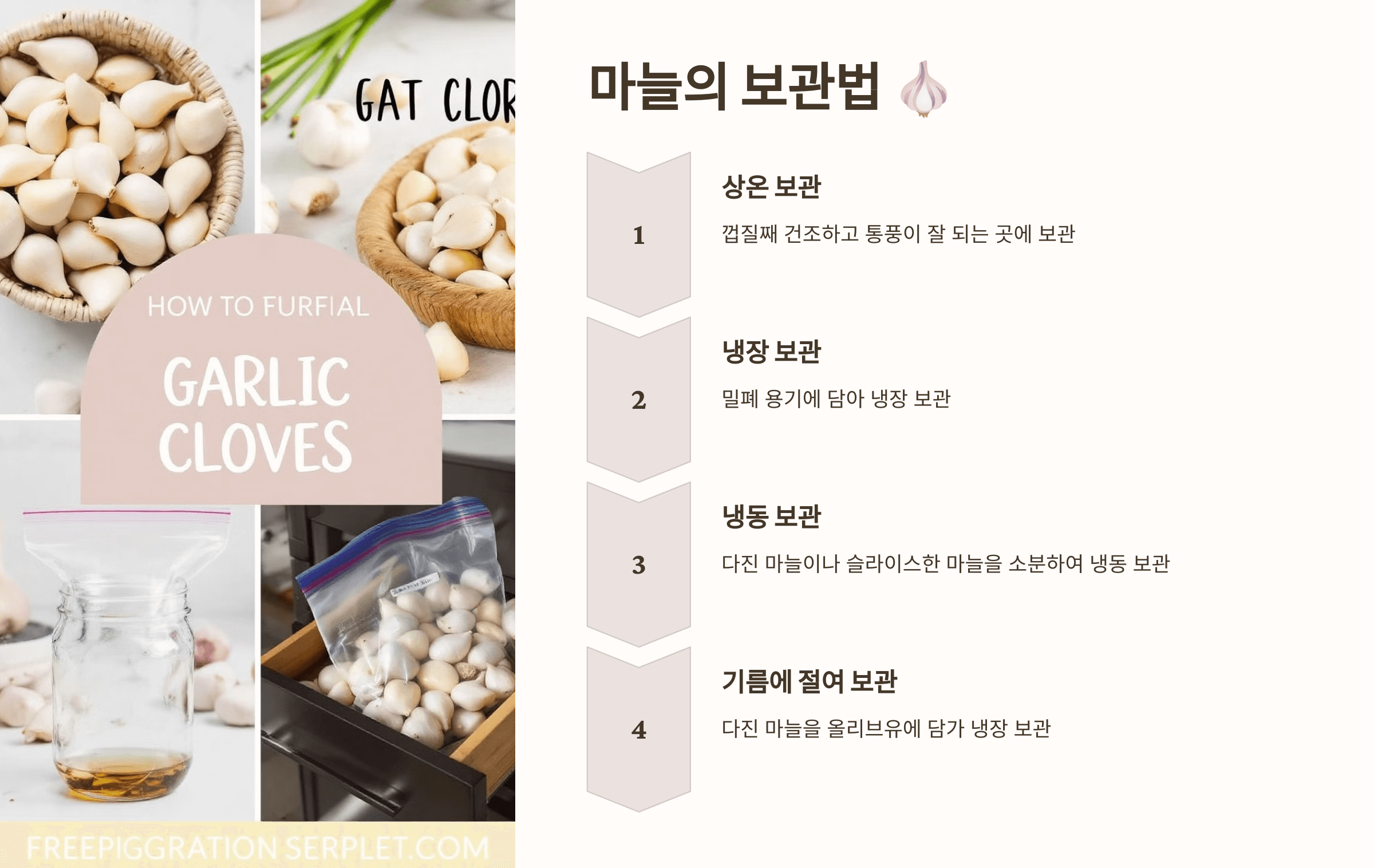 마늘 사진입니다.