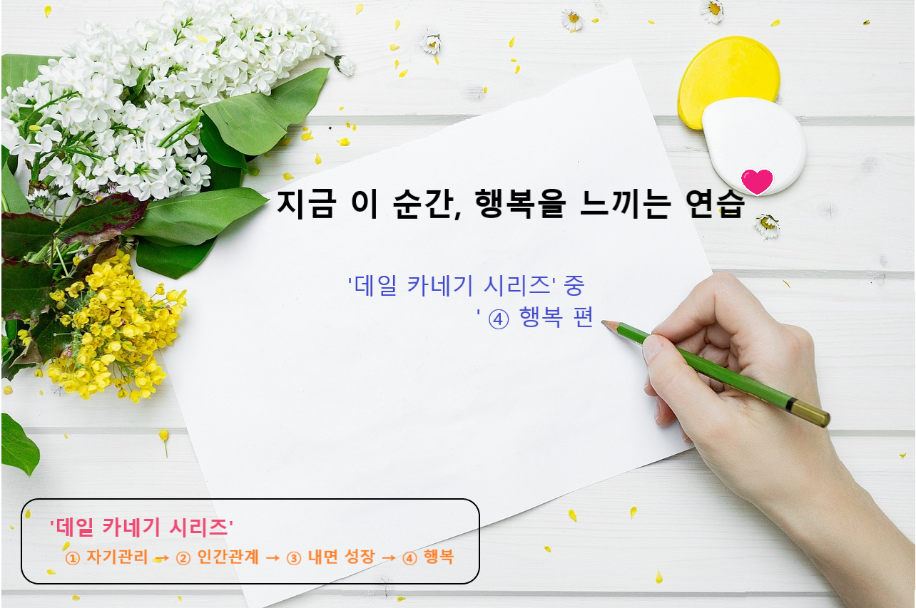 지금 이 순간, 행복을 느끼는 연습, 데일 카네기, 행복 관련 이미지