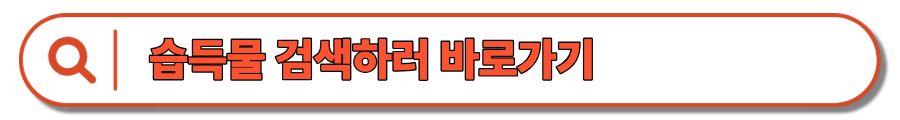 서울 지하철 유실물센터 : 위치, 연락처, 이용방법 총정리(+ 지하철에서 물건 잃어버렸을 때)