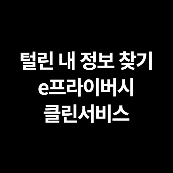 털린 내 정보 찾기 - e프라이버시 클린서비스