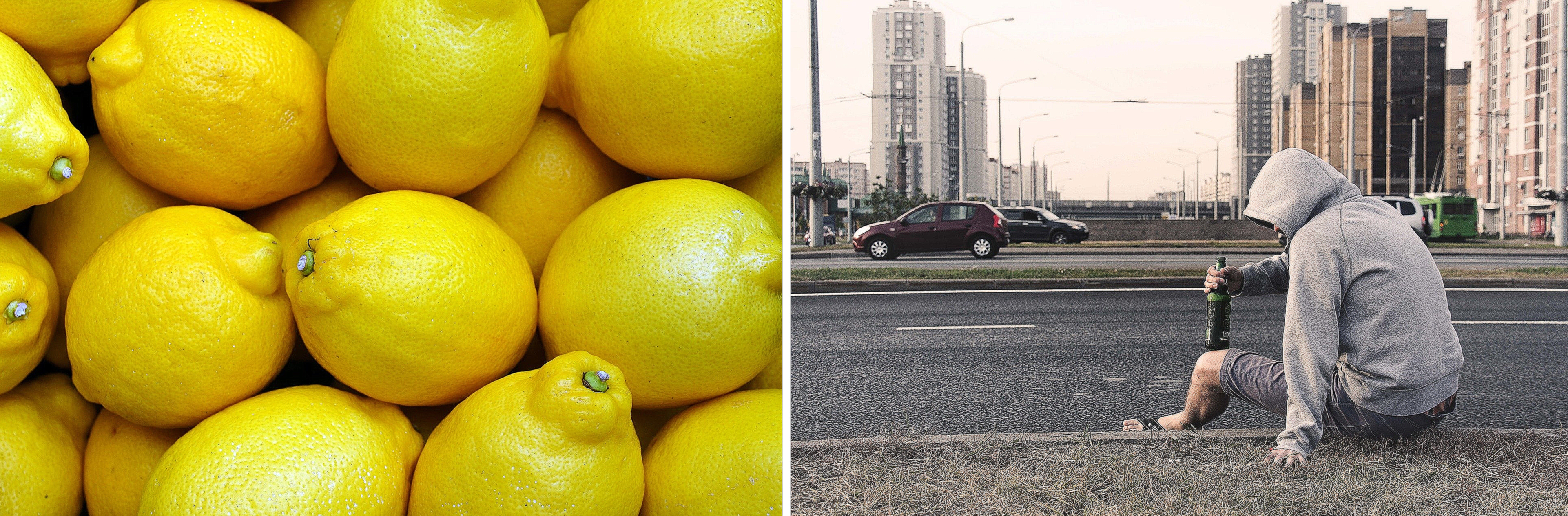 생율 효능 부작용